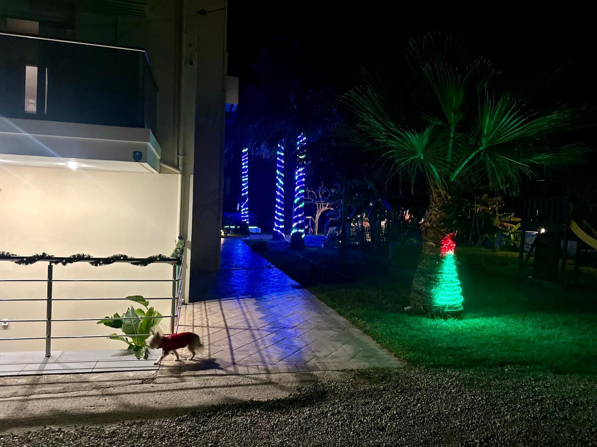 Martimi Apartments - 200M From Drapanias Beach - Pool - Hot Tub - Sauna - Bbq キサモス エクステリア 写真