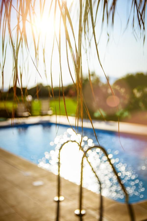 Martimi Apartments - 200M From Drapanias Beach - Pool - Hot Tub - Sauna - Bbq キサモス エクステリア 写真